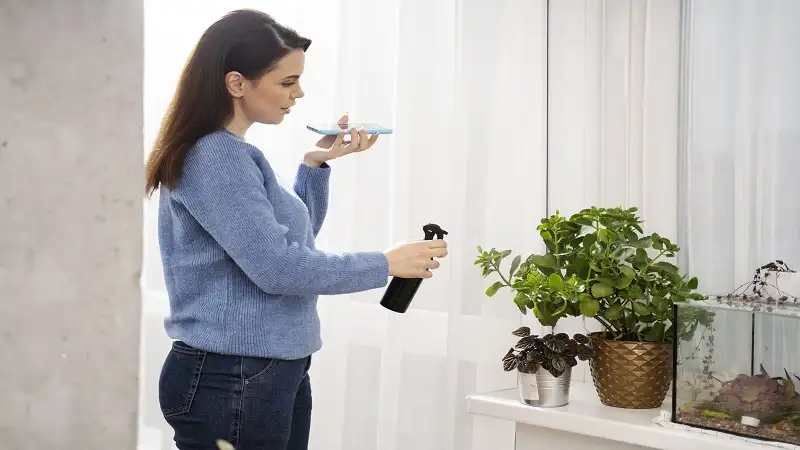 Pleasant Scent Tips to Transform Your Environment