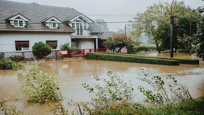Rain, Heat, or Storm: The Complete Guide to Weatherproofing Your Home